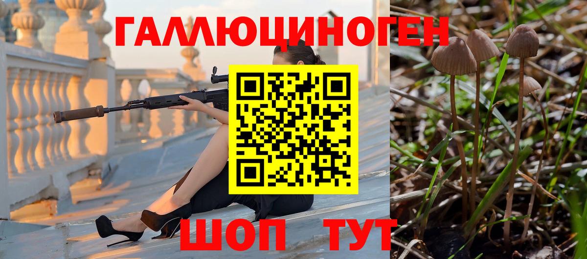 Галлюциногенные грибы Psilocybe  Вход с VPN  Верхняя Салда 
